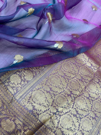 Dhup Chao Tissue Saree