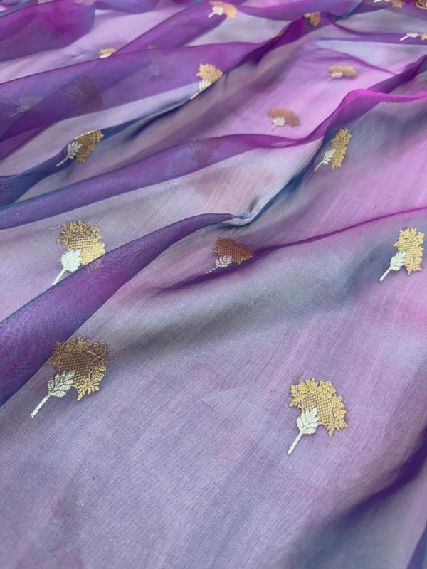 Dhup Chao Tissue Saree