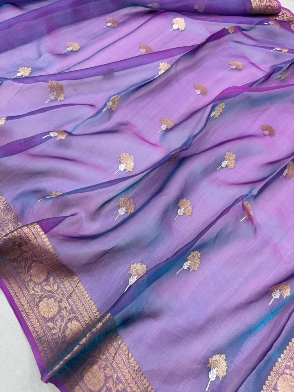 Dhup Chao Tissue Saree