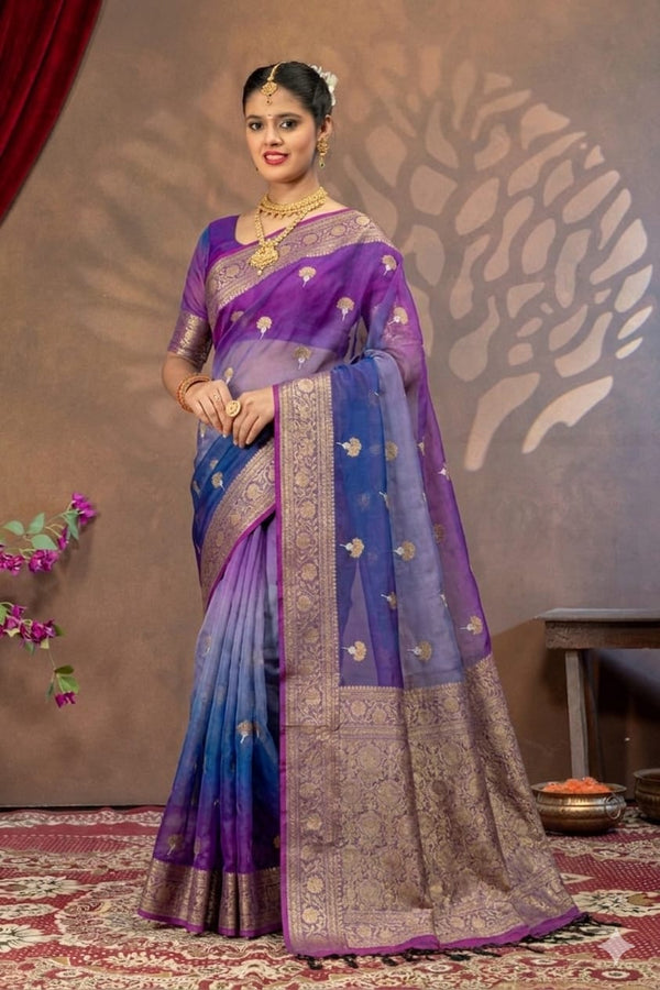 Dhup Chao Tissue Saree