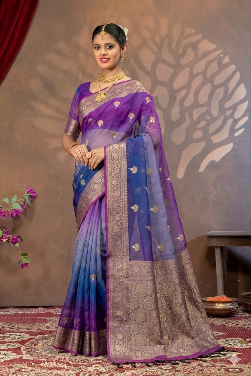 Dhup Chao Tissue Saree