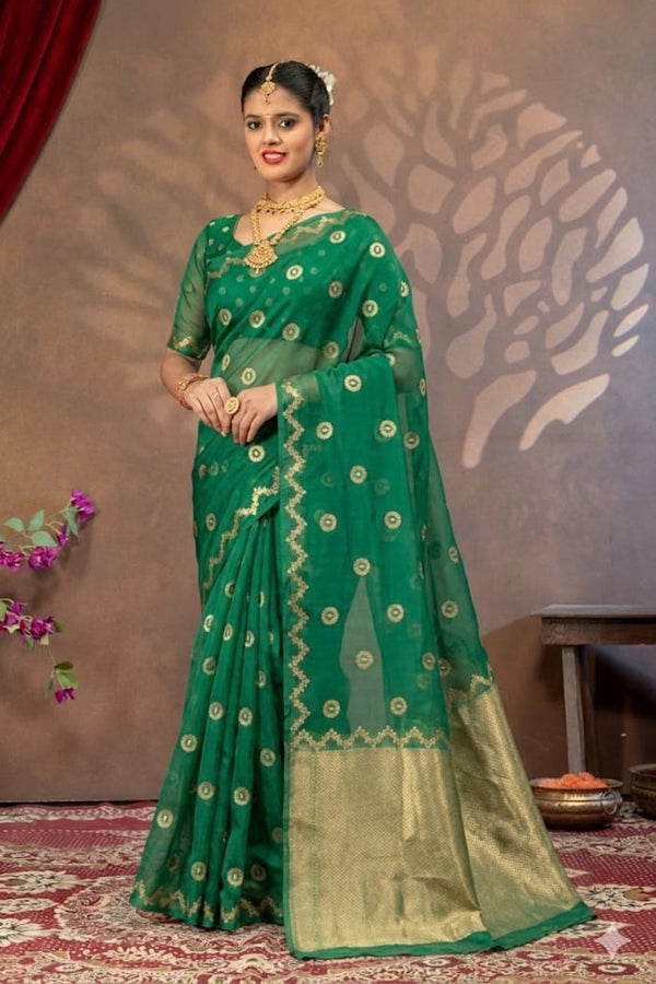 Elegant Green Organza Saree with Golden Embroidery